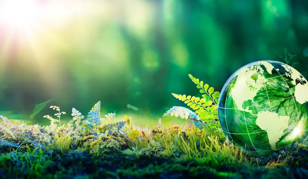 Paper And Board – A Positive Step Towards Sustainable Development